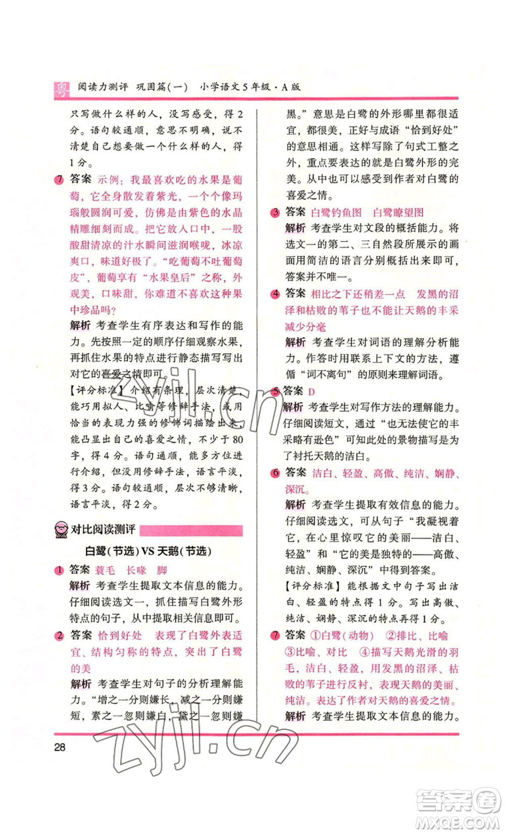 江蘇鳳凰文藝出版社2022木頭馬閱讀力測(cè)評(píng)五年級(jí)語文人教版A本廣東專版參考答案