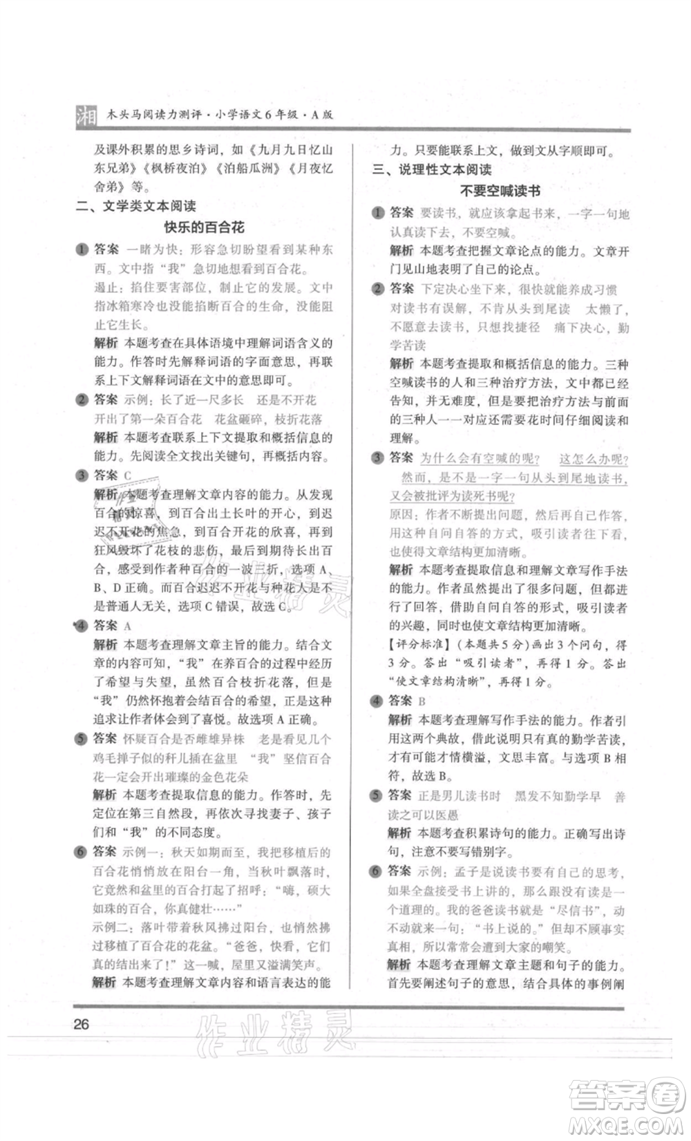 江蘇鳳凰文藝出版社2022木頭馬閱讀力測(cè)評(píng)六年級(jí)語(yǔ)文人教版A版湖南專版參考答案