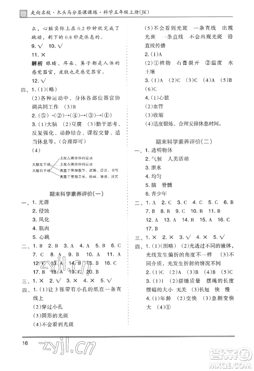 湖南師范大學出版社2022木頭馬分層課課練五年級上冊科學教科版參考答案