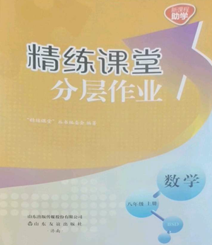 山東友誼出版社2022精練課堂分層作業(yè)八年級上冊數(shù)學(xué)人教版參考答案