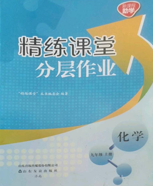 山東友誼出版社2022精練課堂分層作業(yè)九年級上冊化學(xué)人教版參考答案