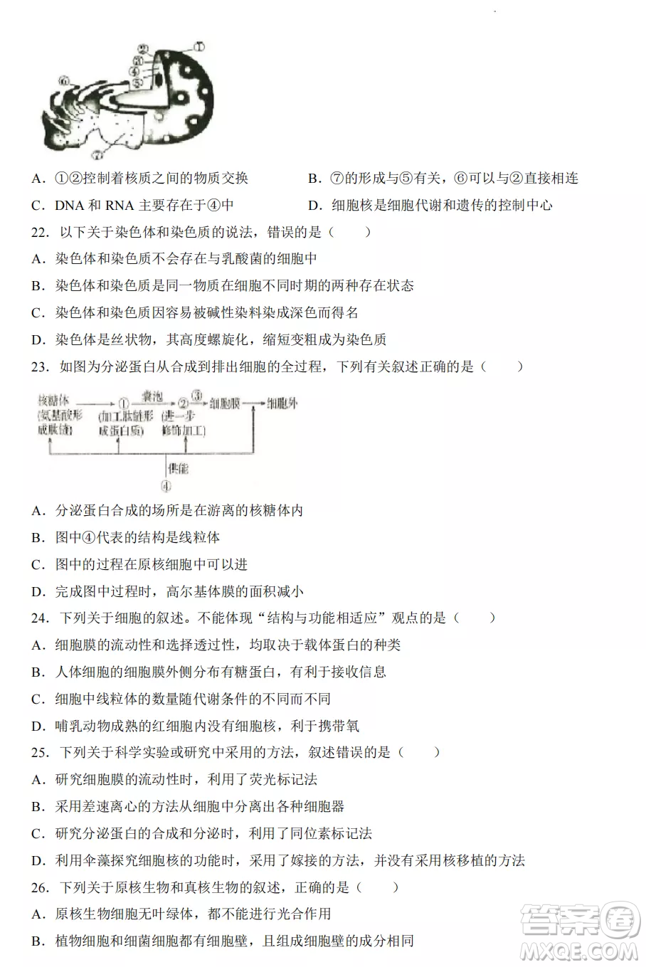 2022-2023齊齊哈爾市八校聯(lián)合體高一上學(xué)期生物期中試卷答案