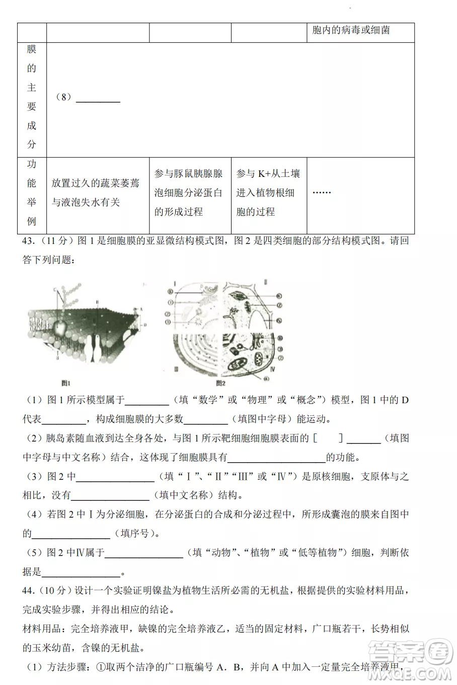 2022-2023齊齊哈爾市八校聯(lián)合體高一上學(xué)期生物期中試卷答案