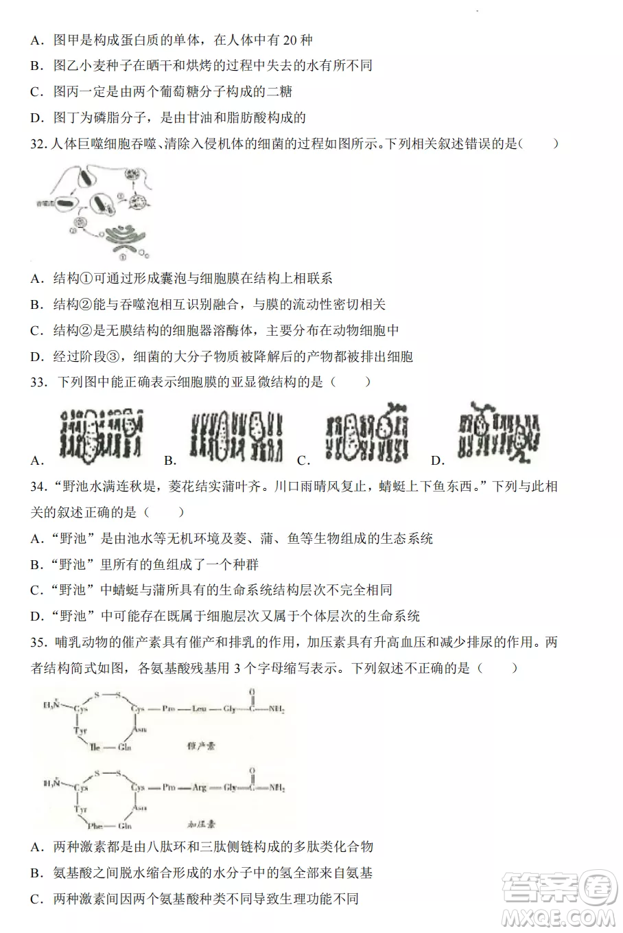 2022-2023齊齊哈爾市八校聯(lián)合體高一上學(xué)期生物期中試卷答案