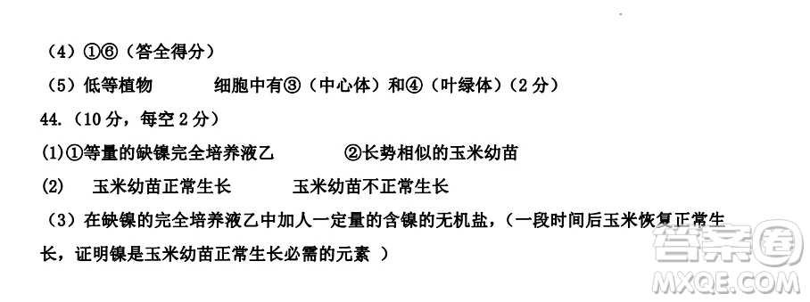 2022-2023齊齊哈爾市八校聯(lián)合體高一上學(xué)期生物期中試卷答案