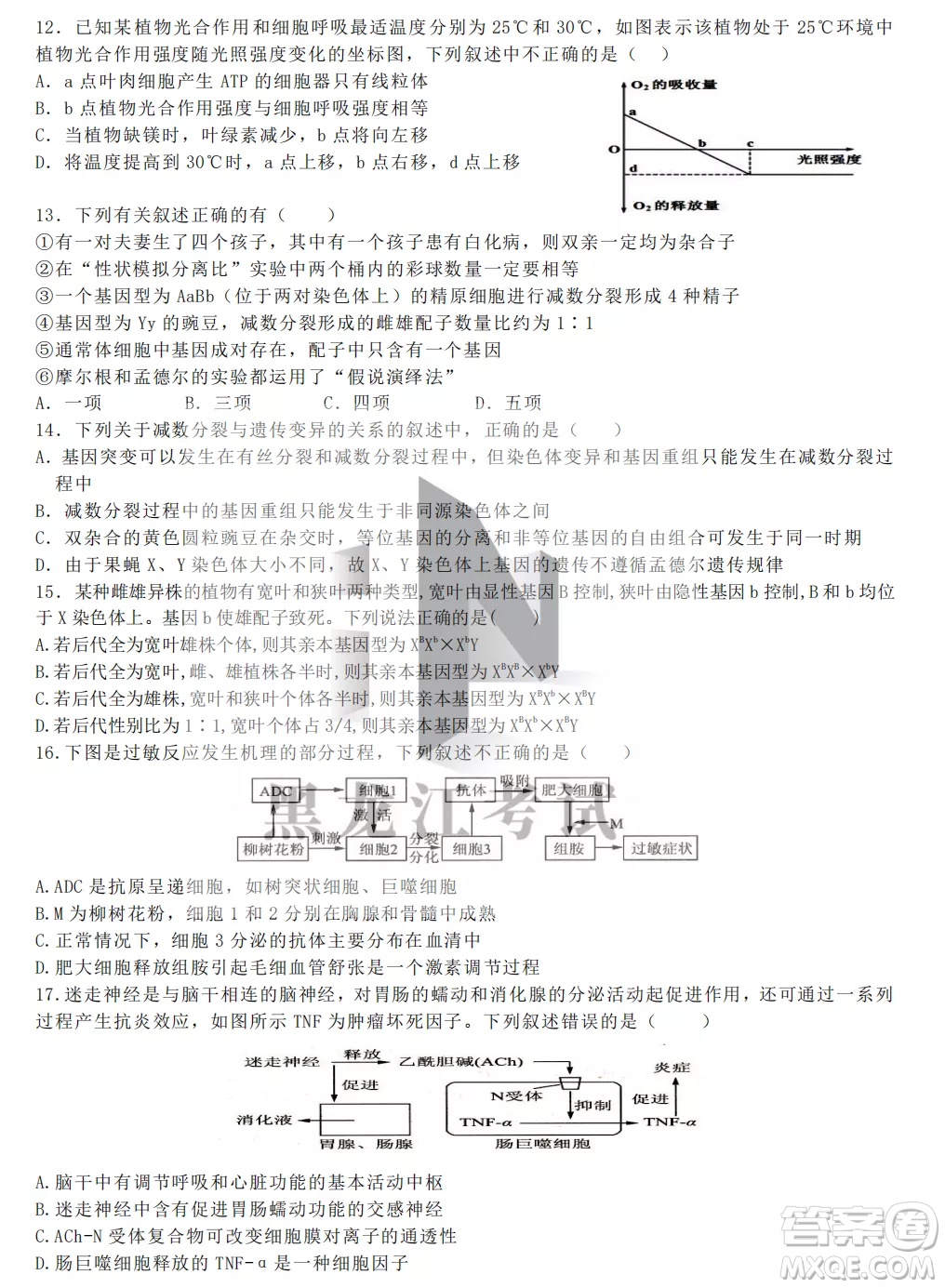 齊齊哈爾市實驗中學(xué)2022-2023學(xué)年度第一學(xué)期高二期中考試生物試題及答案