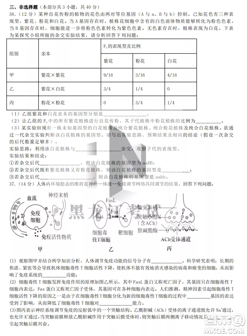 齊齊哈爾市實驗中學(xué)2022-2023學(xué)年度第一學(xué)期高二期中考試生物試題及答案