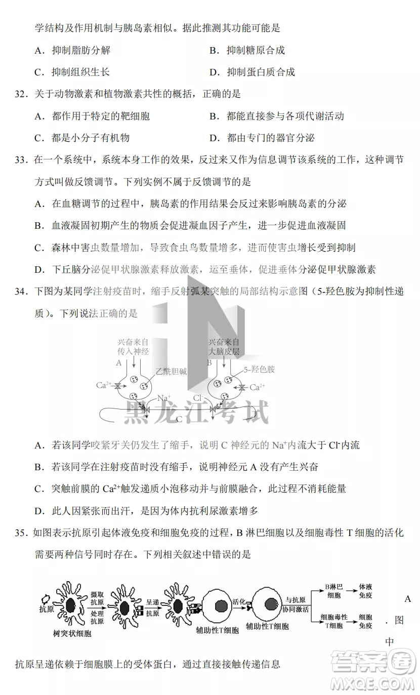 長(zhǎng)春外國(guó)語(yǔ)學(xué)校2022-2023學(xué)年第一學(xué)期期中考試高三年級(jí)理綜試卷答案