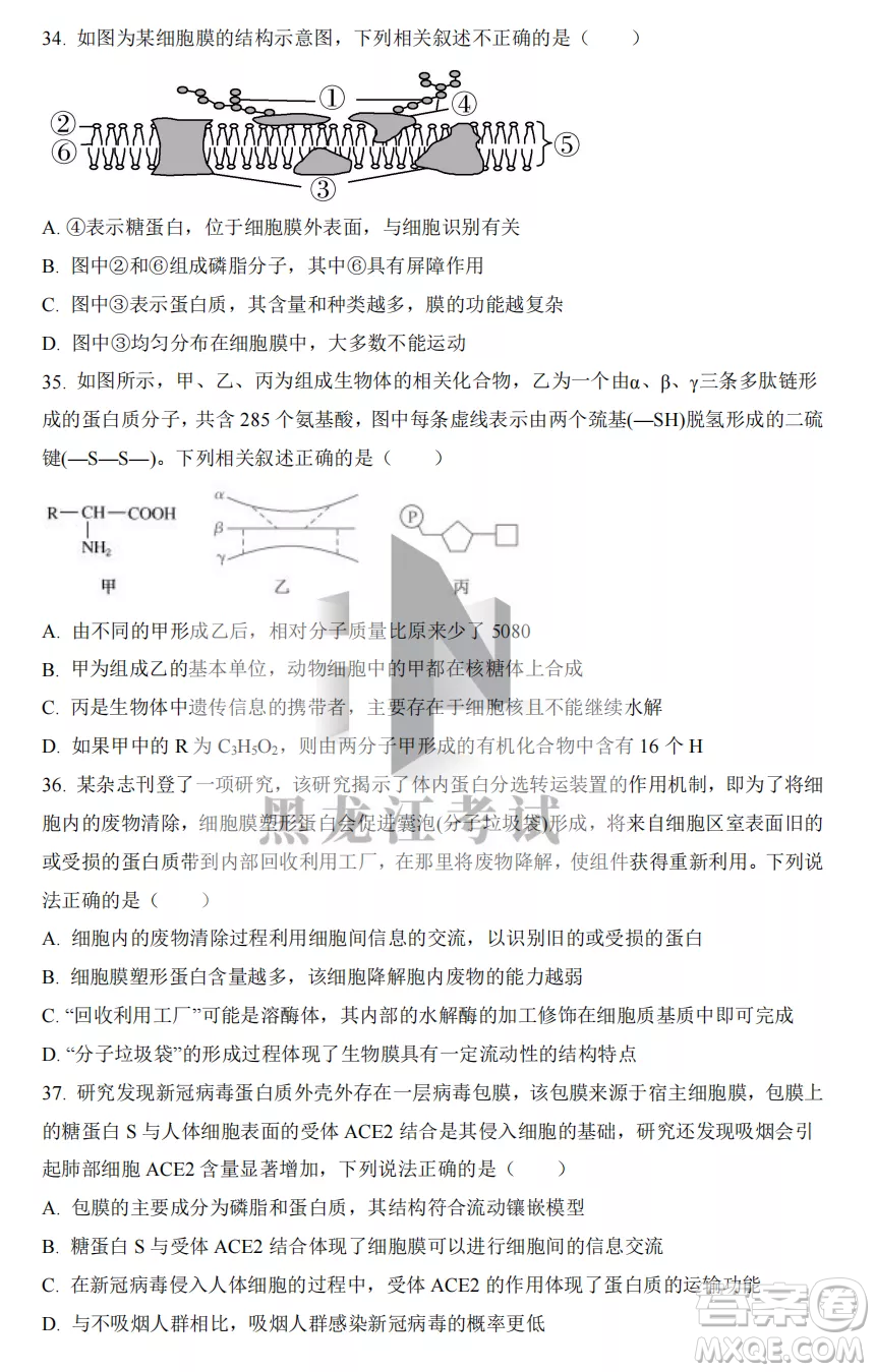 大慶實驗中學2022-2023學年度上學期月考高一生物試卷答案