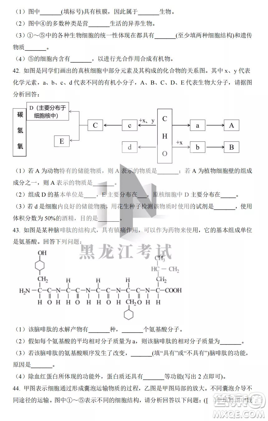 大慶實驗中學2022-2023學年度上學期月考高一生物試卷答案