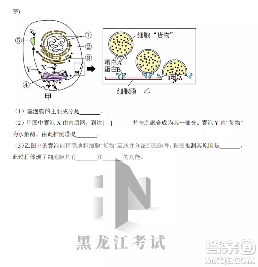 大慶實驗中學2022-2023學年度上學期月考高一生物試卷答案