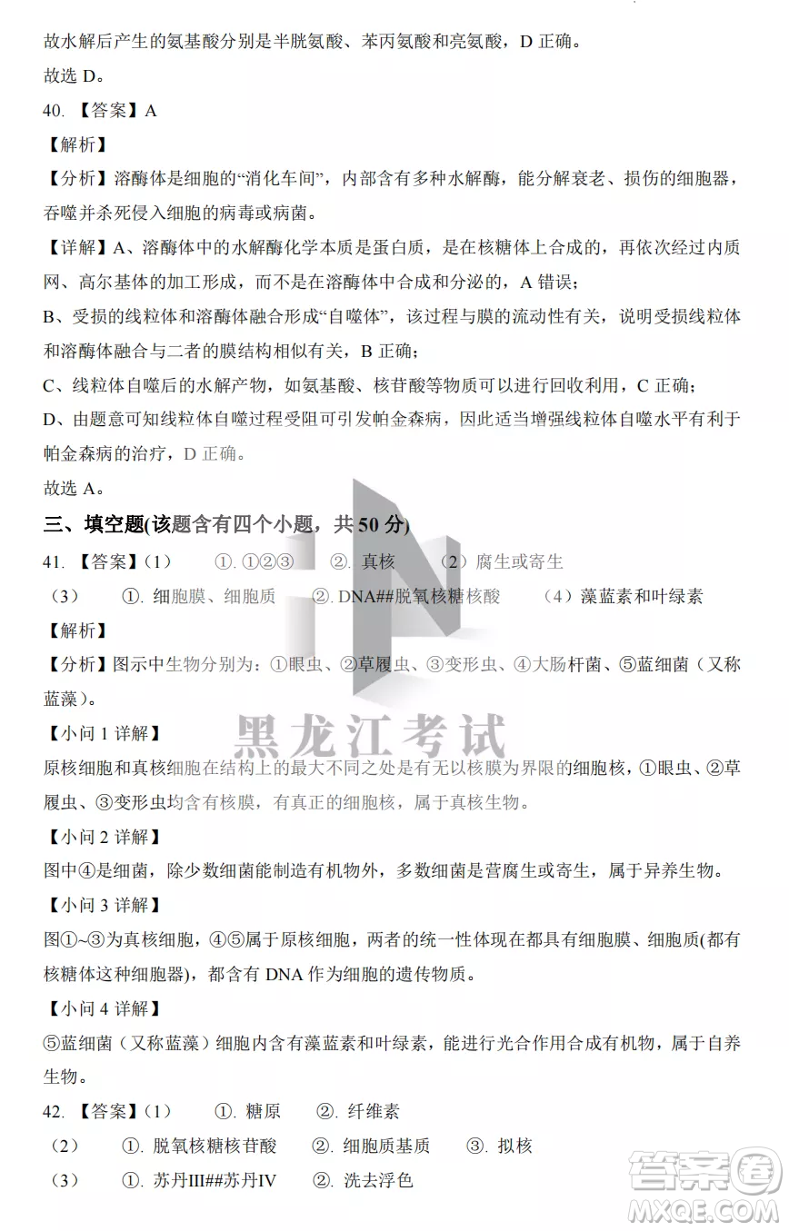 大慶實驗中學2022-2023學年度上學期月考高一生物試卷答案