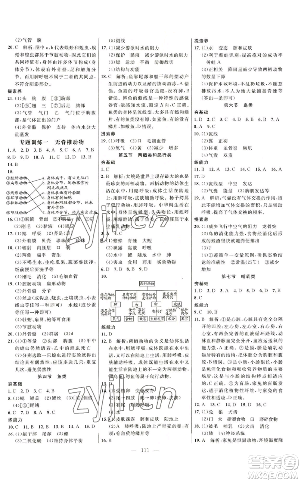 延邊大學(xué)出版社2022細(xì)解巧練八年級(jí)上冊(cè)生物魯科版參考答案