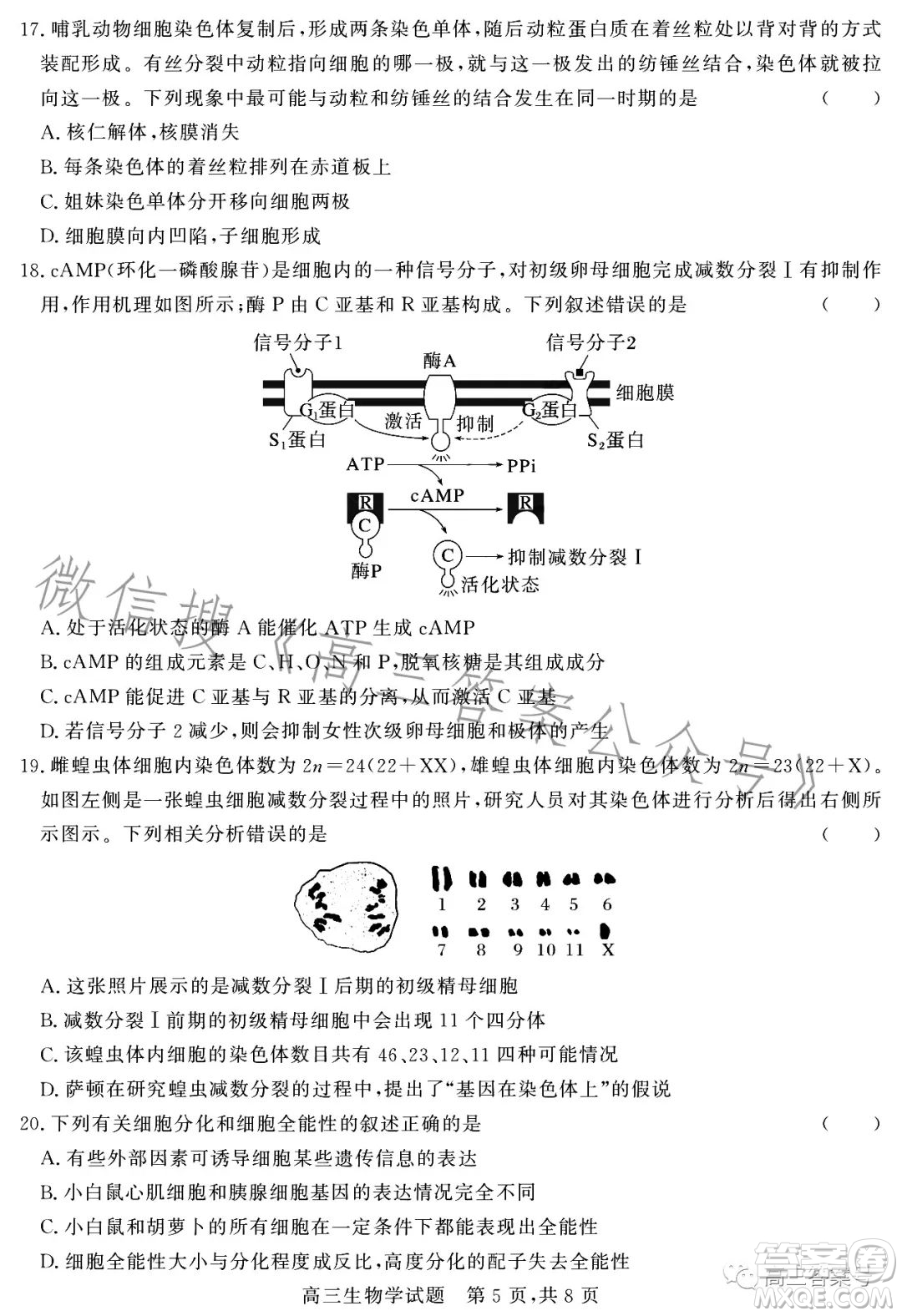 大同市2023屆高三第二次學情調研測試生物試卷答案