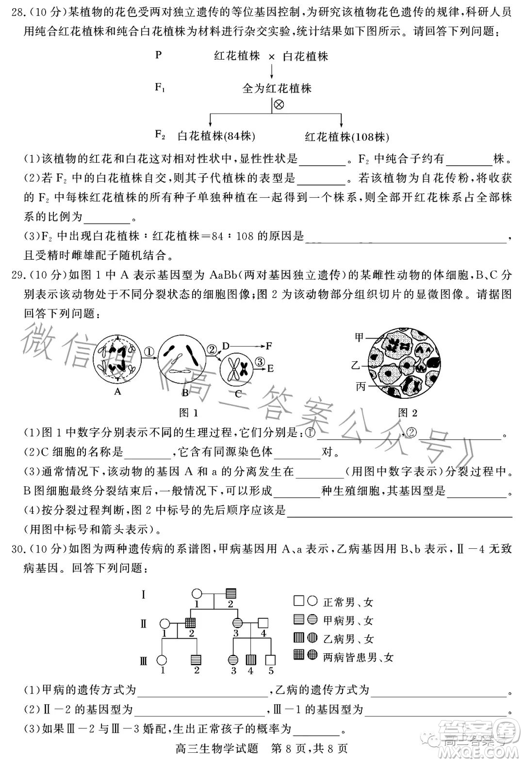 大同市2023屆高三第二次學情調研測試生物試卷答案