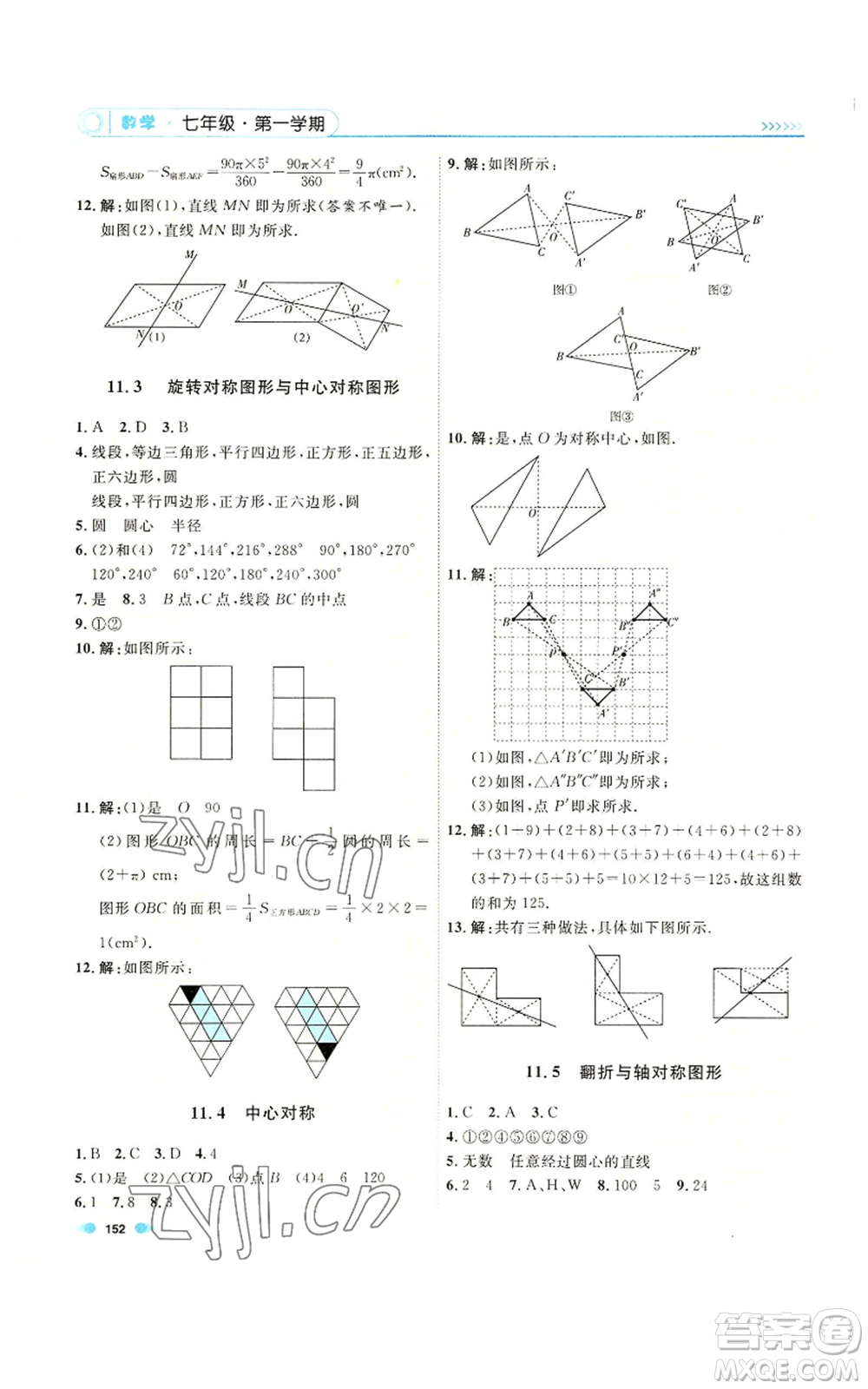 天津人民出版社2022上海作業(yè)七年級第一學期數(shù)學通用版參考答案