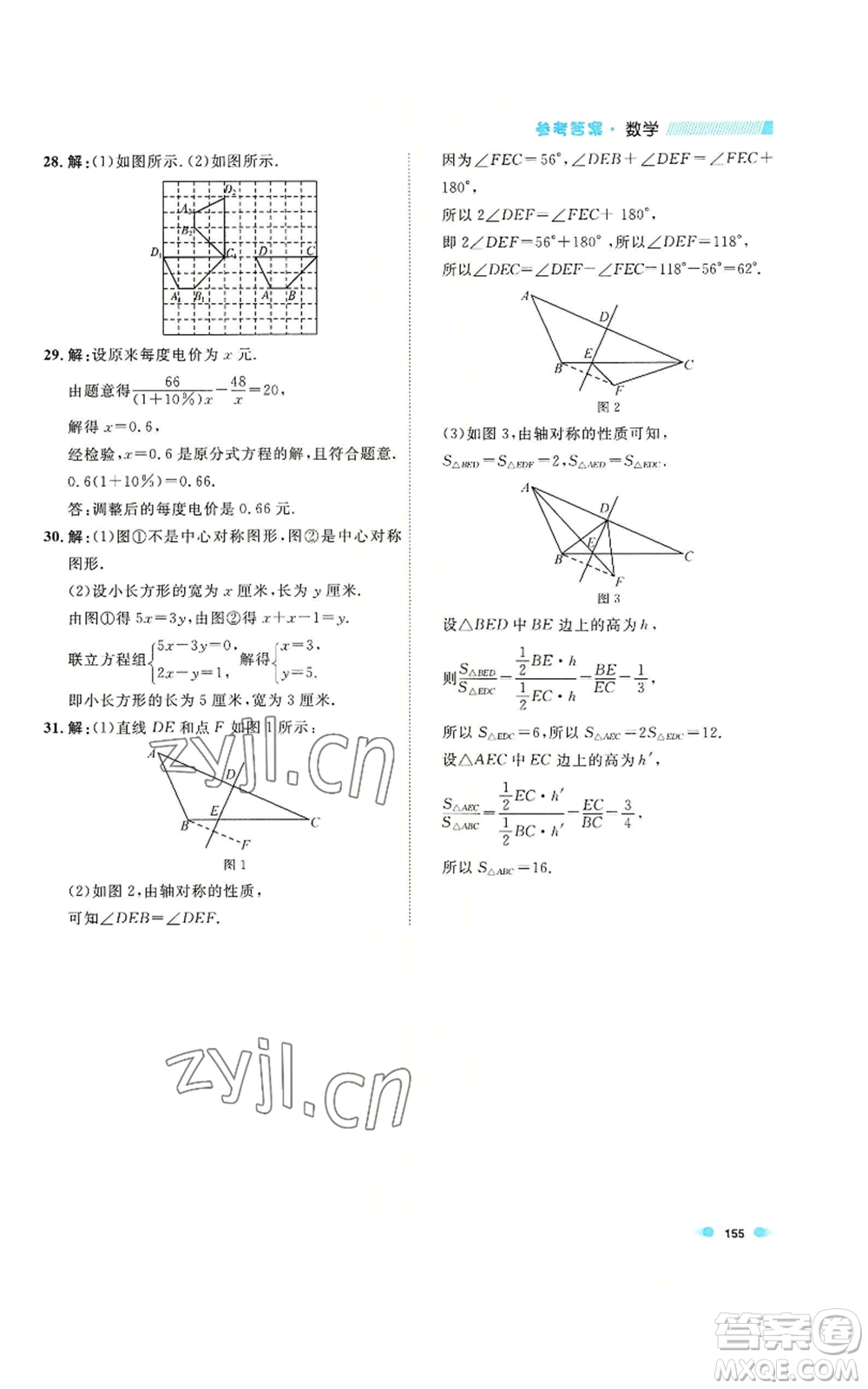 天津人民出版社2022上海作業(yè)七年級第一學期數(shù)學通用版參考答案