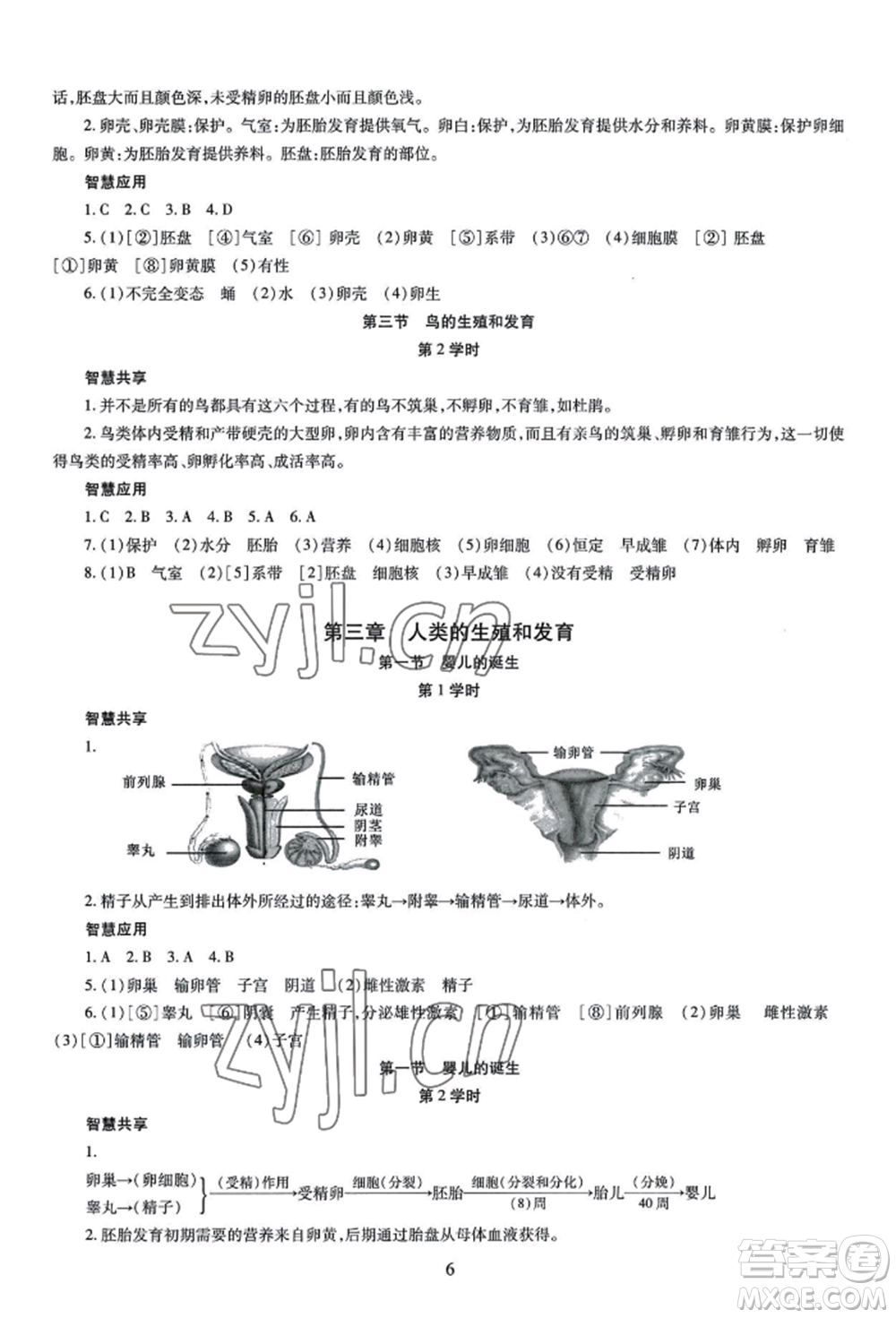 明天出版社2022智慧學習導學練八年級生物學人教版參考答案