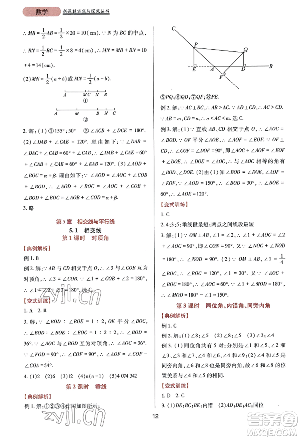 四川教育出版社2022新課程實(shí)踐與探究叢書(shū)七年級(jí)上冊(cè)數(shù)學(xué)華東師大版參考答案