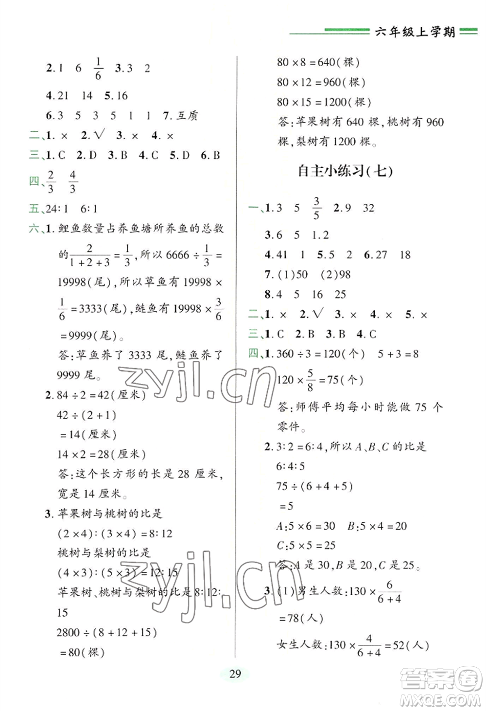 青島出版社2022新課堂學習與探究六年級上冊數(shù)學人教版參考答案