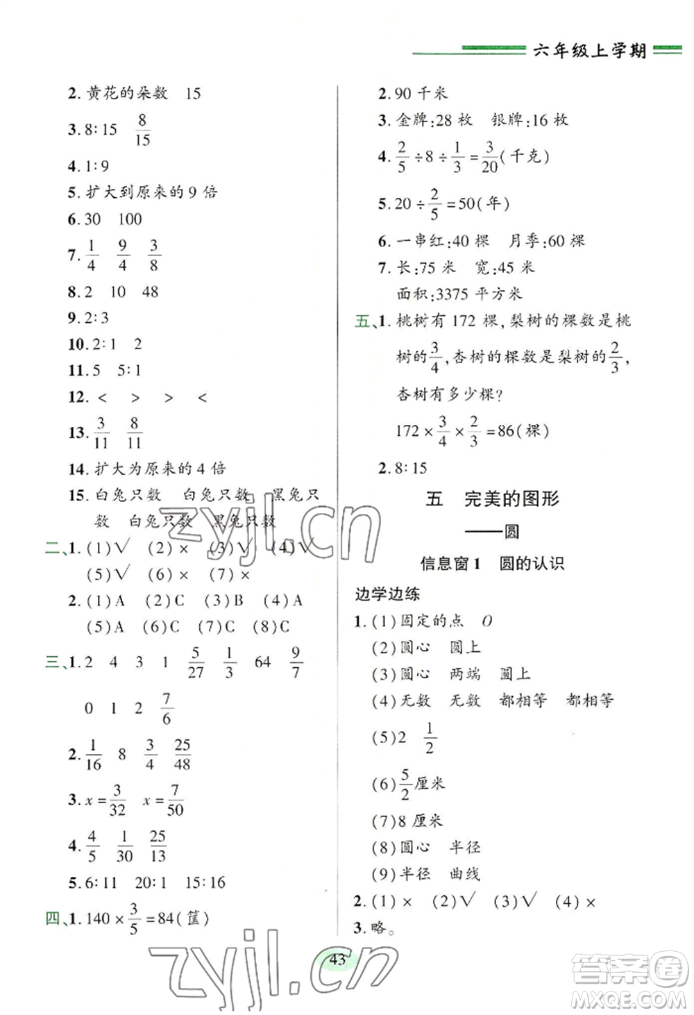 青島出版社2022新課堂學習與探究六年級上冊數(shù)學人教版參考答案