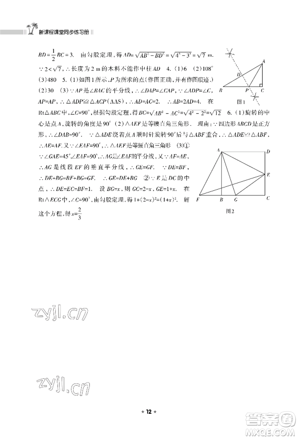 海南出版社2022新課程課堂同步練習(xí)冊八年級上冊數(shù)學(xué)華東師大版參考答案