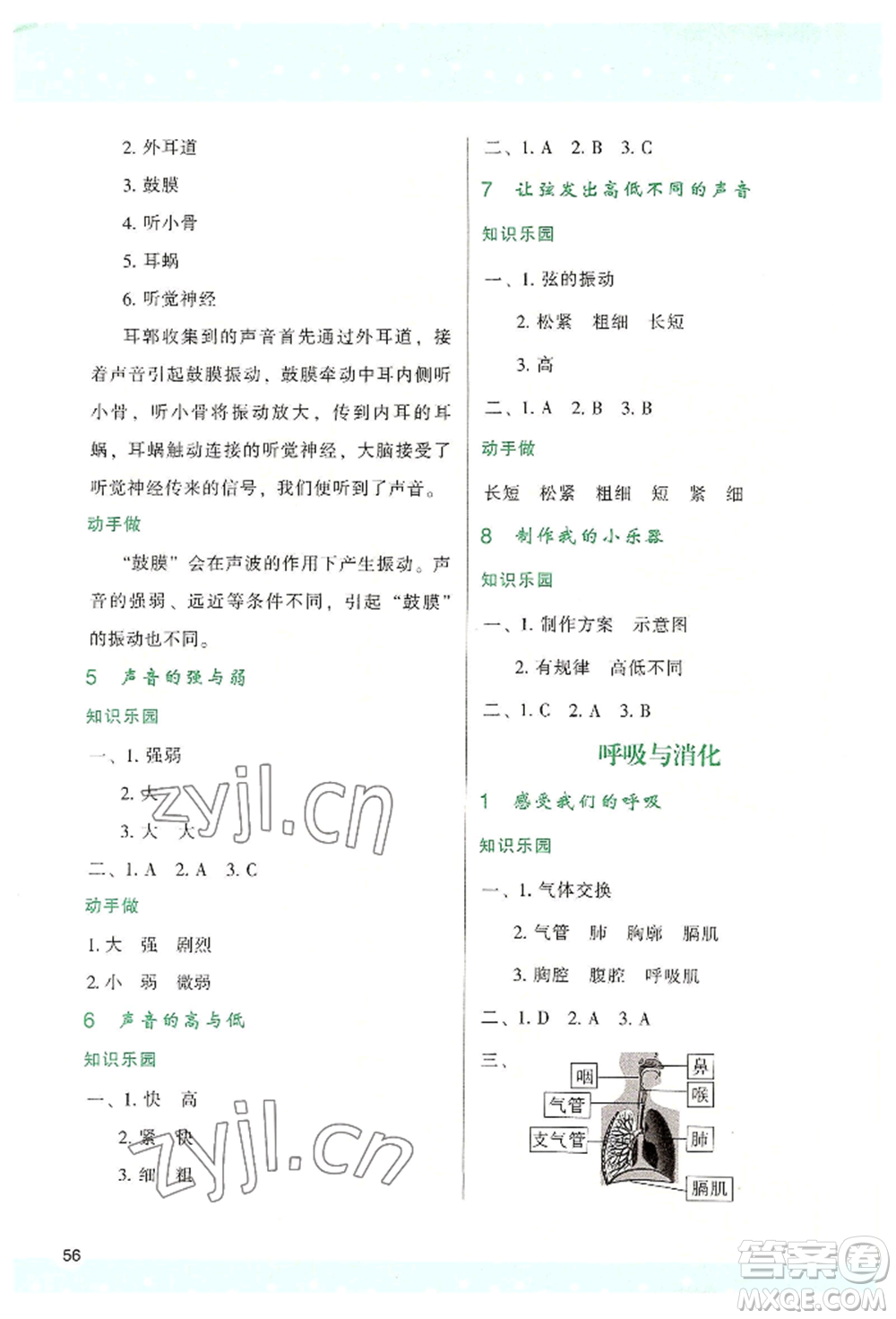 陜西人民教育出版社2022新課程學(xué)習(xí)與評價四年級上冊科學(xué)教科版參考答案