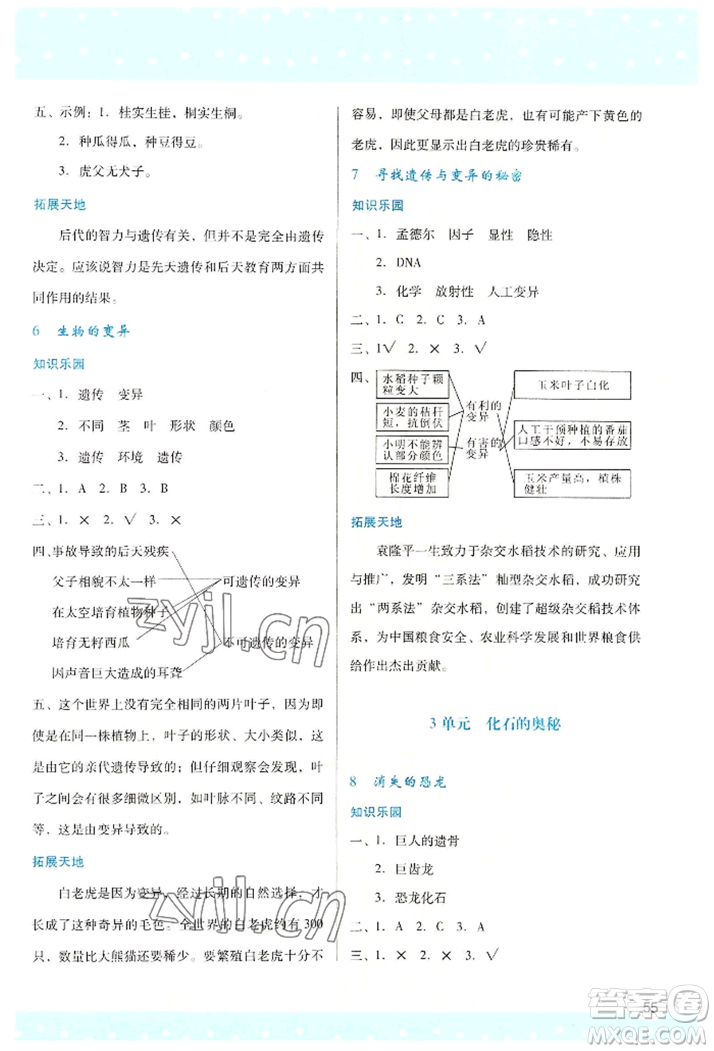 陜西人民教育出版社2022新課程學習與評價六年級上冊數(shù)學蘇教版參考答案