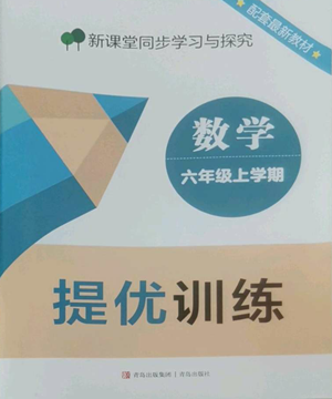 青島出版社2022新課堂同步學習與探究提優(yōu)訓練六年級上冊數(shù)學青島版參考答案