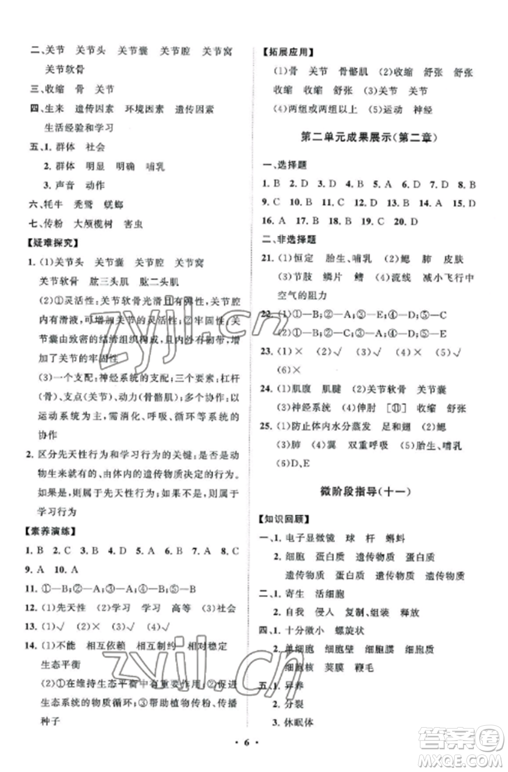 山東教育出版社2022初中同步練習冊分層卷七年級生物上冊濟南版參考答案