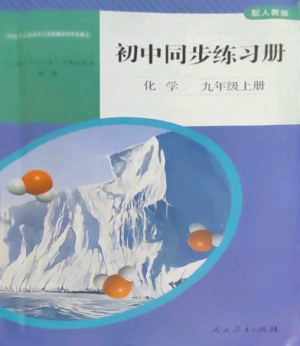 人民教育出版社2022同步練習(xí)冊(cè)九年級(jí)化學(xué)上冊(cè)人教版山東專版參考答案