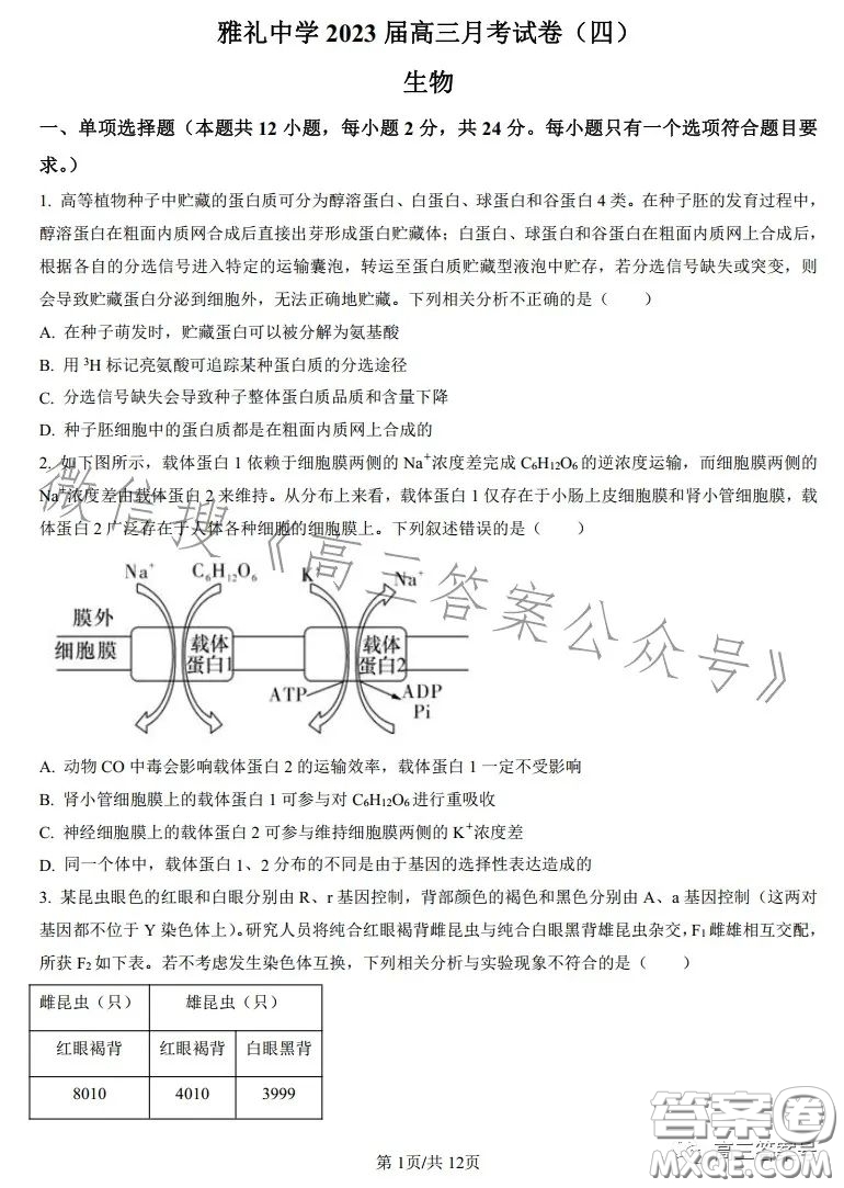 雅禮中學(xué)2023屆高三月考四生物試卷答案