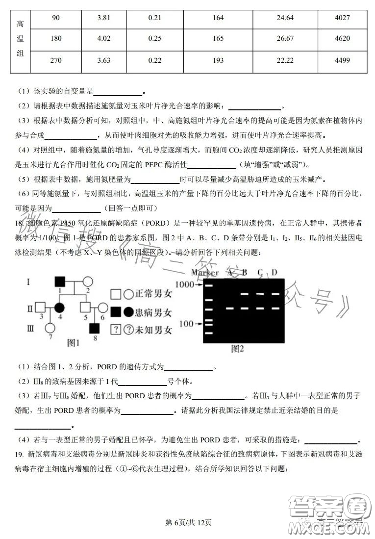 雅禮中學(xué)2023屆高三月考四生物試卷答案