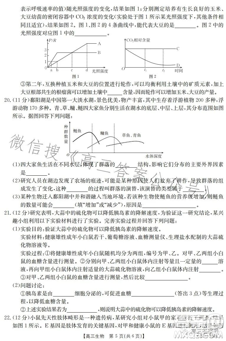 2023金太陽高三12月聯(lián)考23-180C生物試卷答案