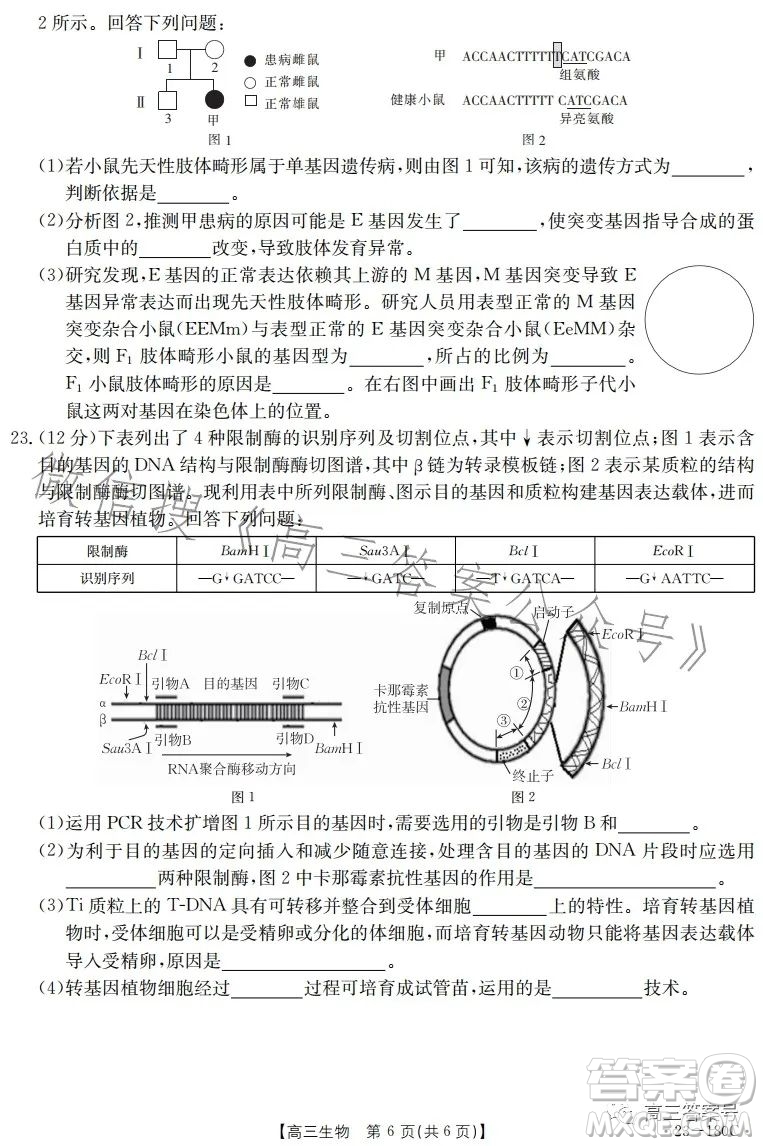 2023金太陽高三12月聯(lián)考23-180C生物試卷答案