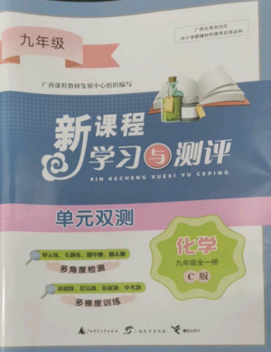 廣西師范大學出版社2022新課程學習與測評單元雙測九年級化學全冊魯教版C版參考答案