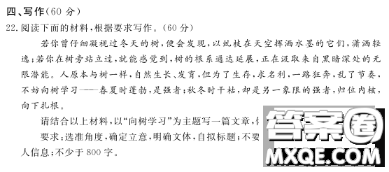 向樹學(xué)習(xí)主題作文800字 關(guān)于向樹學(xué)習(xí)的主題作文800字