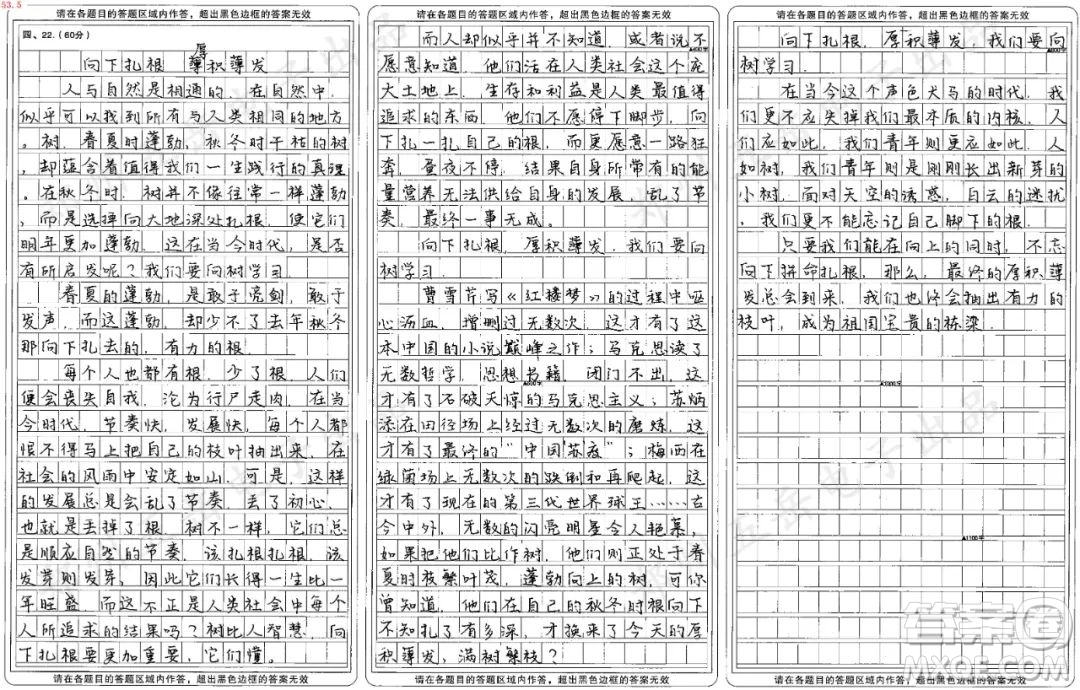 向樹學(xué)習(xí)主題作文800字 關(guān)于向樹學(xué)習(xí)的主題作文800字