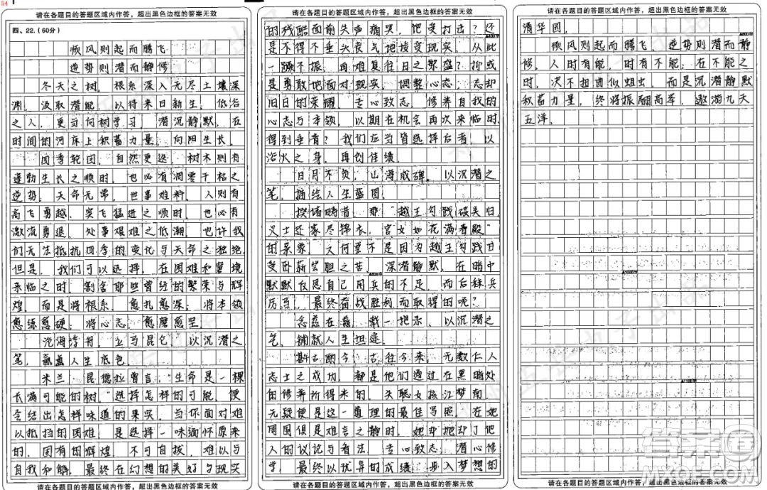 向樹學(xué)習(xí)主題作文800字 關(guān)于向樹學(xué)習(xí)的主題作文800字