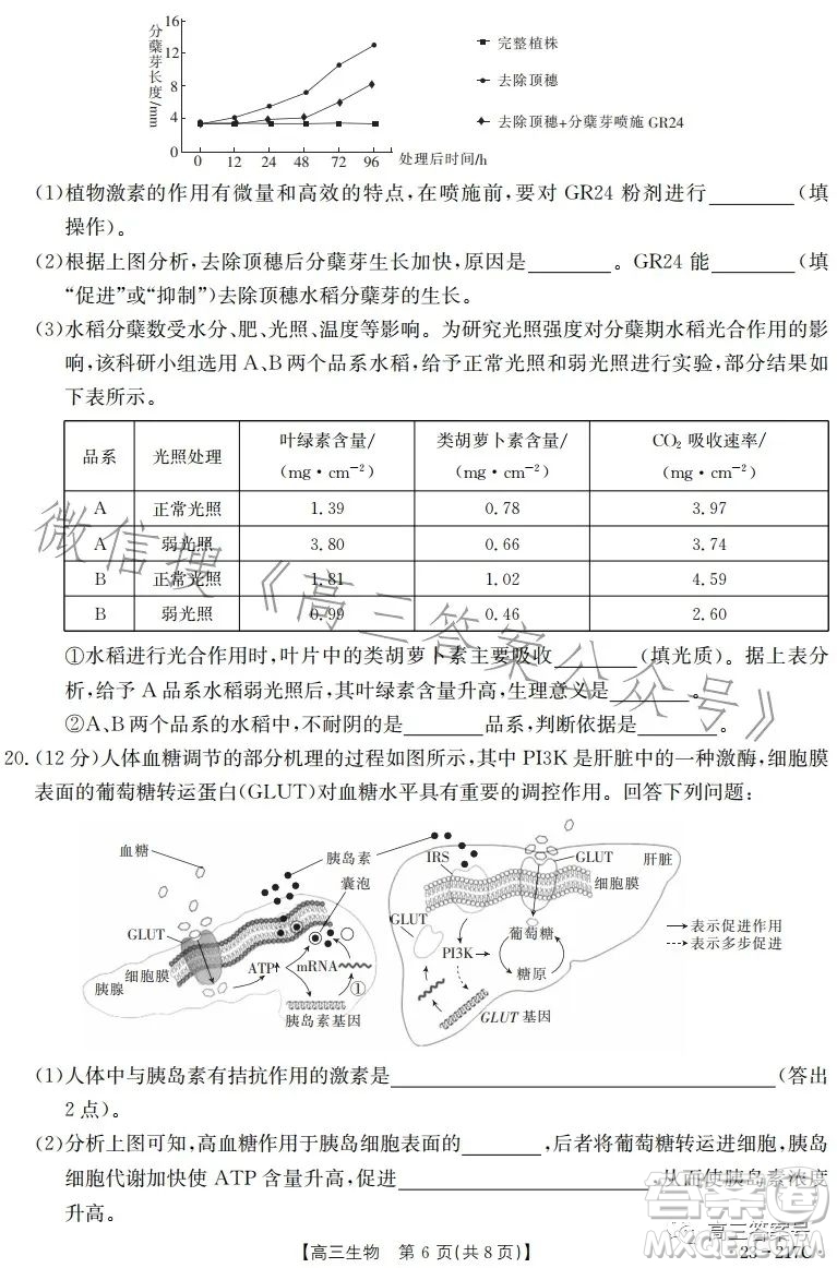 2023金太陽高三12月聯(lián)考23217C生物試卷答案