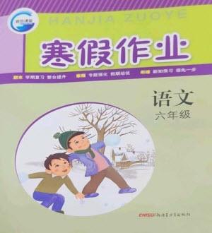 新疆青少年出版社2023寒假作業(yè)六年級(jí)語(yǔ)文人教版參考答案