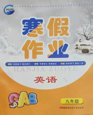 新疆青少年出版社2023寒假作業(yè)九年級(jí)英語(yǔ)人教版參考答案