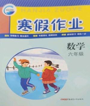 新疆青少年出版社2023寒假作業(yè)六年級數(shù)學(xué)通用版參考答案