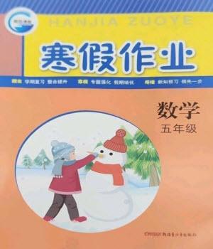 新疆青少年出版社2023寒假作業(yè)五年級(jí)數(shù)學(xué)人教版參考答案