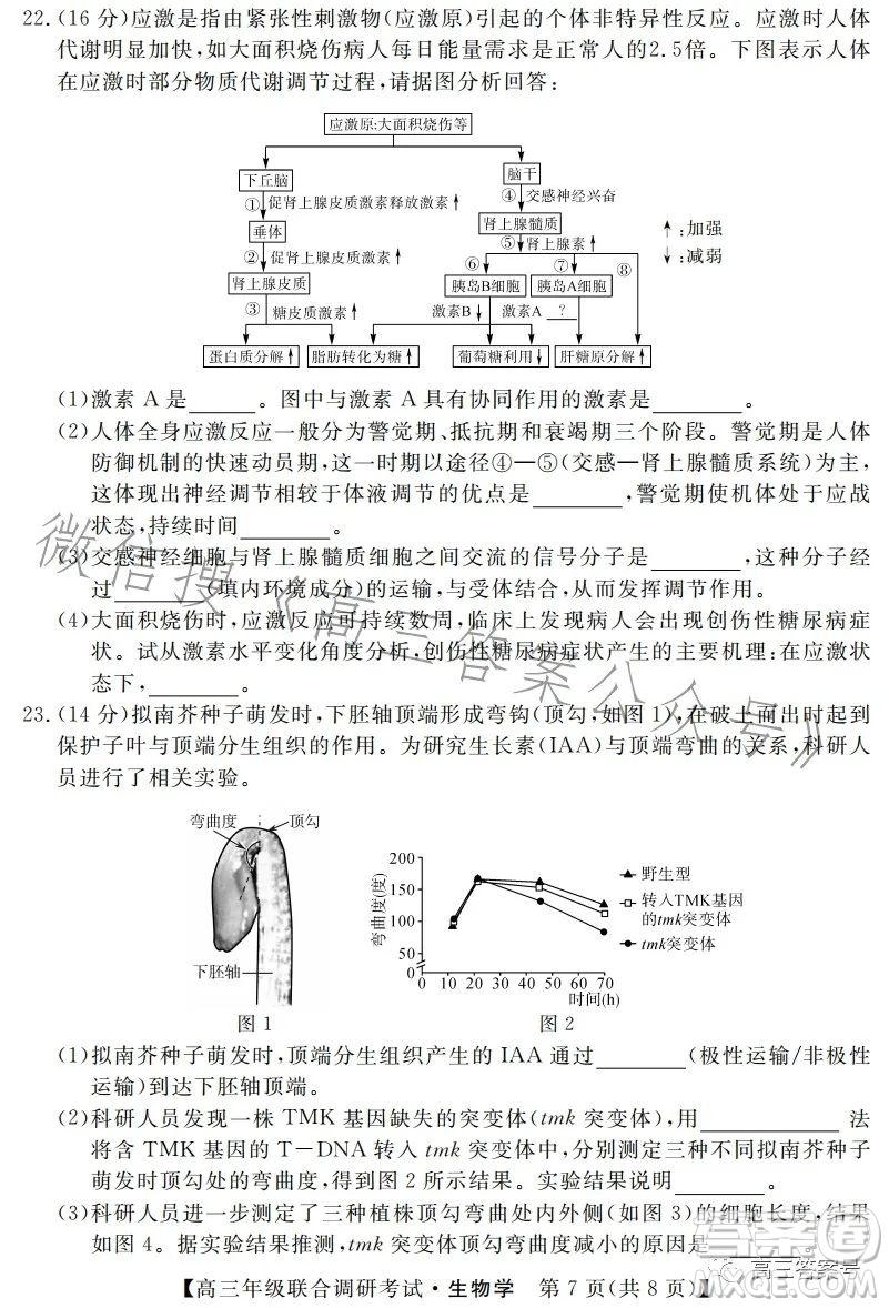 湖北省部分市州2023年元月高三年級聯(lián)合調(diào)研考試生物試卷答案