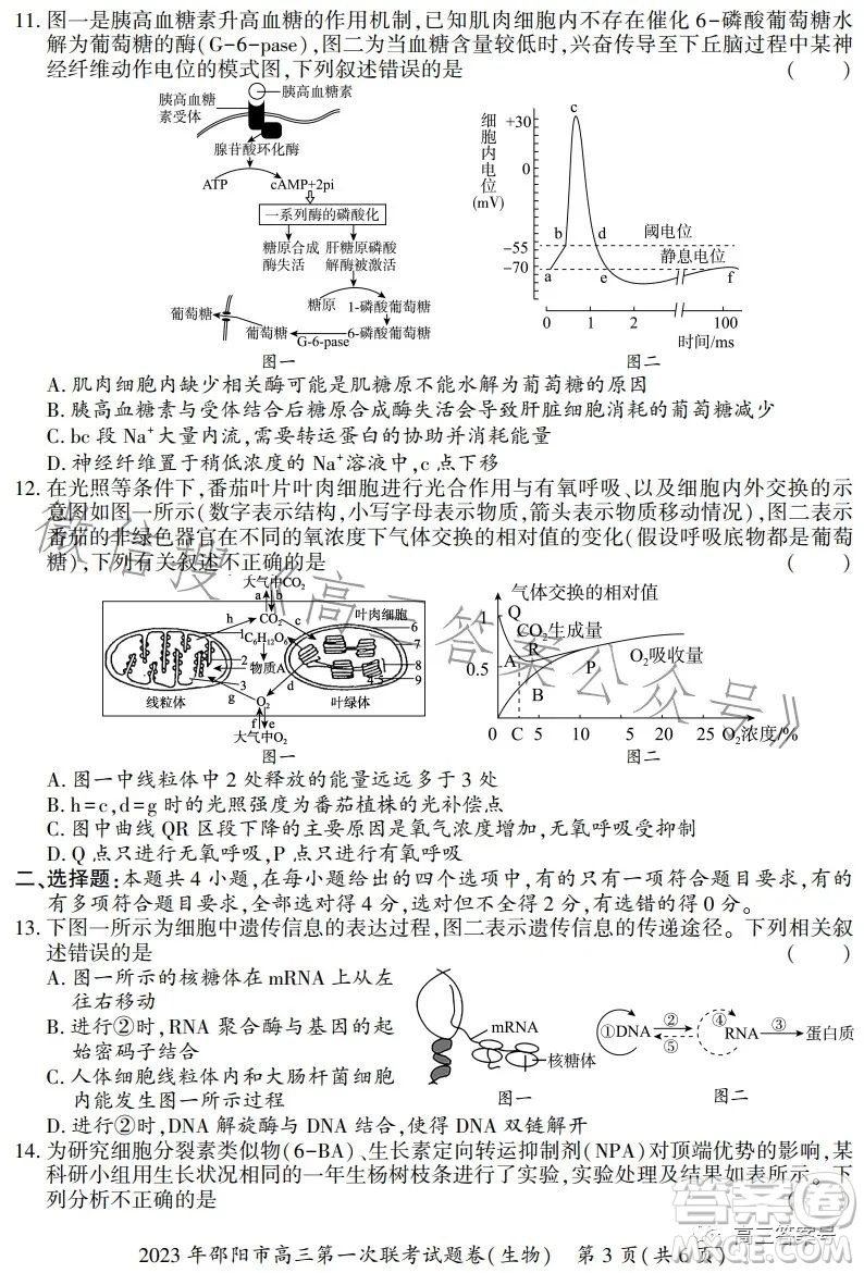 2023年邵陽市高三第一次聯(lián)考試題卷生物試卷答案