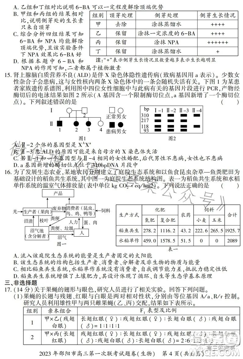 2023年邵陽市高三第一次聯(lián)考試題卷生物試卷答案