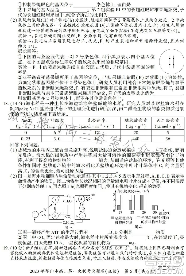 2023年邵陽市高三第一次聯(lián)考試題卷生物試卷答案