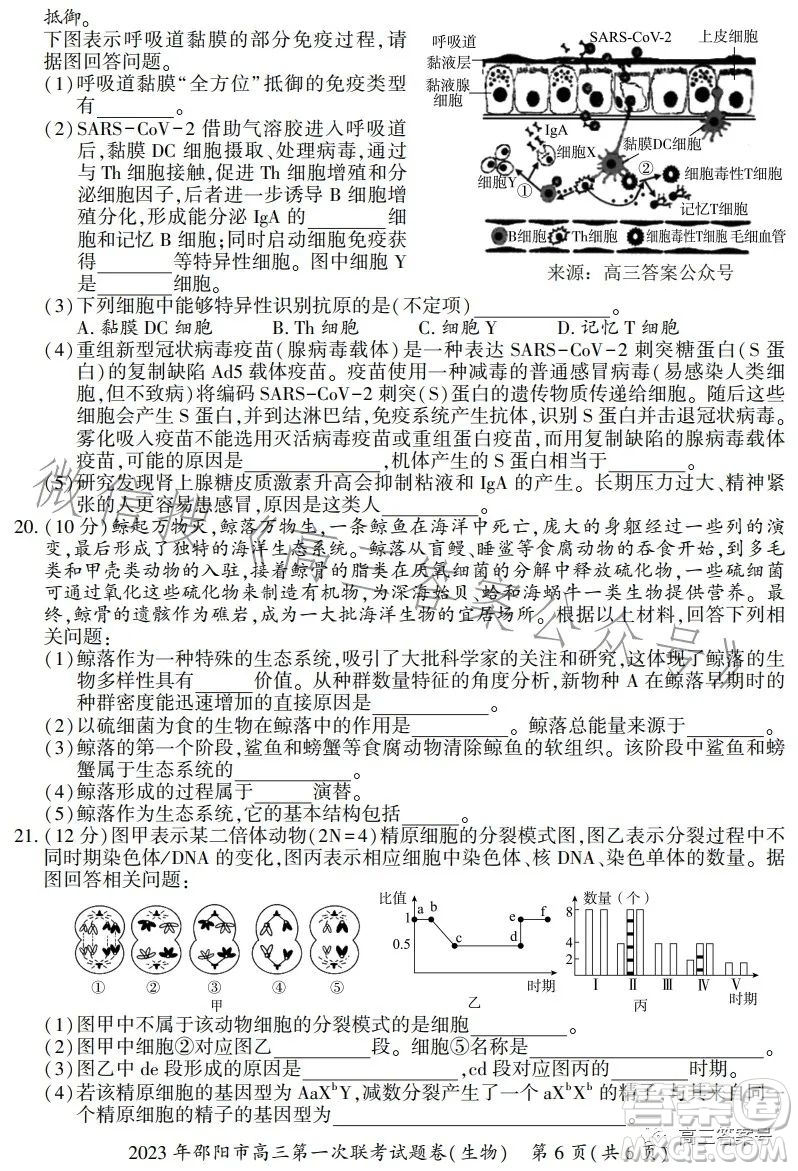 2023年邵陽市高三第一次聯(lián)考試題卷生物試卷答案