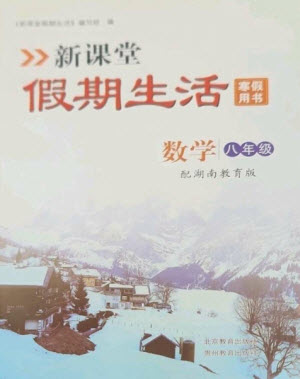 北京教育出版社2023新課堂假期生活寒假用書(shū)八年級(jí)數(shù)學(xué)湘教版參考答案